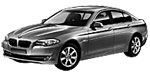 BMW F10 U204U Fault Code